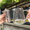Bình pha trà thủy tinh Borosilicate cao cấp chịu nhiệt GHA813