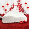Gối memory foam 50D hình cong lock&lock HLW111