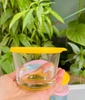 Sét 6 hộp thuỷ tinh đựng thực phẩm size 260ml GHA826