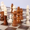 Bộ cờ vua gỗ sồi, bàn gấp cao cấp có nam châm (có hộp đựng)