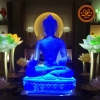 Tượng Phật Dược Sư Lưu Ly Cao Cấp Đặc Biệt Tinh Xảo Pháp Bảo Kim Cang Thừa Mật Tông Tâm Ý