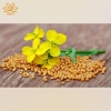 Bạch Giới Tử Gói 500g giá tốt