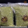 Bột tùng |Giá rẻ nhất| nguyên chất tùng bách xanh Tây Tạng 500gram làm nhang thắp hương, tẩy uế, xua tan âm khí