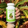 PECTIN COMPLEX