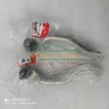 RÔ TUYN LÁI NGOÀI HONDA CIVIC 2006-2011 (GIÁ 1 CÁI)