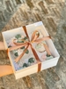 Set 10 hộp cupcake 5 LỖ (mẫu mới) kthuoc 26x26x12cm (NẮP MICA TRONG) (kèm đế ở khay to).