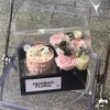 Set 10 hộp mica 2 ngăn có quai xách kèm đế (đk khay đựng bánh 16cm, đk khay hoa 8cm)-MÀU ĐEN.