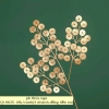 Cành màu vàng - đồng tiền xu tròn (3 nhánh/cành).