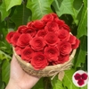 Gói 50 bông hoa hồng xoắn chất liệu giấy kt 3.5cm -ĐỎ.