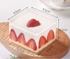 Cốc (hộp) vuông nhựa cứng PS 9565 (9.5x9.5x6.5cm) kèm nắp.