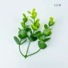200gam cỏ tai chuột (nhựa).