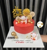 CAM-bộ quạt tròn - Vàng X21
