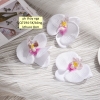 Hoa lan hồ điệp-TRẮNG  (kt 8cm).