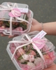 Set 50 hộp bento nhựa.