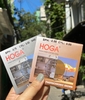 Tròng kính Hoga 2 tròng đổi màu Khói, Trà
