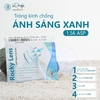 Tròng Kính Chống Ánh Sáng Xanh Bluecut Rocky 1.56