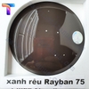 Tròng kính râm Polycore