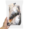 Đầu Cá Hồi Nauy