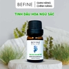 Tinh dầu Hoa Ngũ Sắc - Ageratum Essential Oil