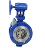 van-buom-mat-bich-kin-bang-thep-duc-d343h-16-25c