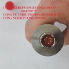 cam-bien-ap-suat-viatran-5705bpsx1051-5705bpsx1052