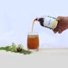 Mật trà kombucha (Ngỗng) | cốt chuối, thảo mộc, dưỡng sinh