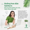 duong-hoa-dua-sokfarm-135g-sap-chang-sen