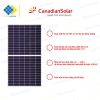 tam-pin-nang-luong-mat-troi-canadian-445w