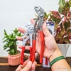 Knipex 00 31 20 V03 Bộ Kìm Gồm 2 Cây 86 03 180, 87 01 250 Đóng Trong Vỉ Nhựa