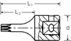 Đầu Khẩu Hoa Thị Stahlwille 1/4