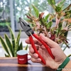 Kìm Đa Năng Knipex 02 01 180 Lưỡi Cắt 63 HRC Dài 180mm, Tay nhựa đỏ