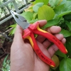 Kìm Đa Năng Mũi Thon Knipex 08 26 145 Lưỡi Cắt 61 HRC Cách điện 1000 Volt