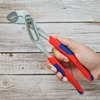 Kìm Nước Mỏ Quạ Knipex Alligator® 88 05 250