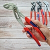 Kìm Nước Mỏ Quạ Knipex Alligator® 88 05 250