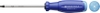 Tua Vít PB Swiss Tools Rainbow Evo 38400 Mũi Hoa Thị Torx 25