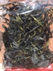 TẢO XOẮN- RONG BIỂN XOẮN