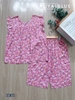 Lửng cánh tiên tôn hồng hoa