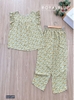 Ngố cánh tiên lụa lạnh xanh vàng