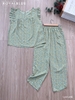 Ngố cánh tiên trắng hoa xanh