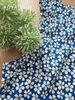 Đùi sát tay nẹp cotton, nhí xanh