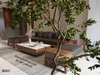 Bộ sofa gỗ óc chó