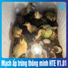 Mạch ấp trứng thông minh HTE V1.01