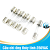 Cầu chì ống thủy tinh 6x30mm 250VAC