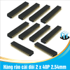 Hàng rào cái đôi 2 x 40P 2.54mm chân thẳng