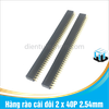 Hàng rào cái đôi 2 x 40P 2.54mm chân thẳng