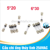 Cầu chì ống thủy tinh 6x30mm 250VAC