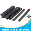 Hàng rào cái đôi 2 x 40P 2.54mm chân thẳng
