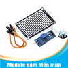 Module cảm biến mưa