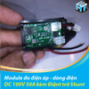 Module đo điện áp - dòng điện dc 100V 50A kèm điệnt trở Shunt