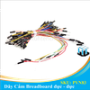 Dây Cắm Breadboard đực - đực nhiều kích cỡ 65 sợi